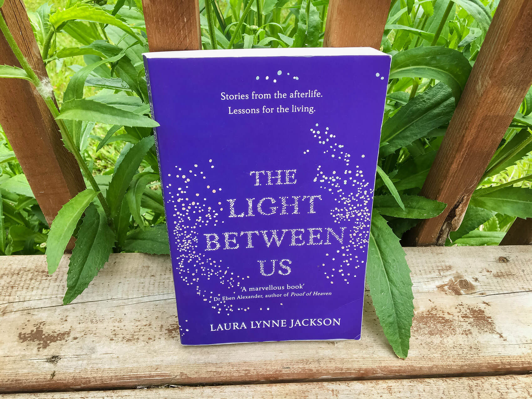 Searching for an inspirational book on spiritual awakening? Then you won't want to miss The Light Between Us: Stories from Heaven, Lessons for the Living by Laura Lynne Jackson. Inside this post, I share my review of her book. #spirituality #spiritualquotes #spiritualawakening #spiritualjourney #spiritualbooks #spiritualreads #spiritualabilities #intuition #spiritualpath #consciousliving