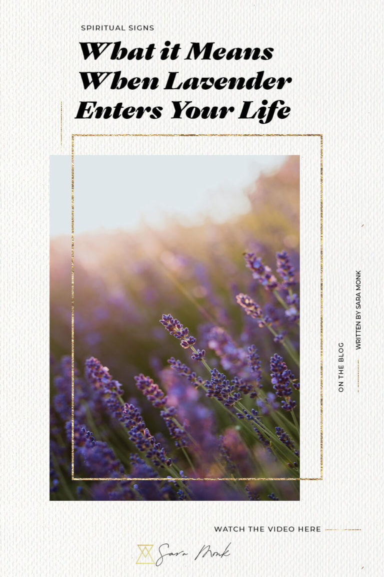 The Spiritual Meaning of Lavender • Sara Monk