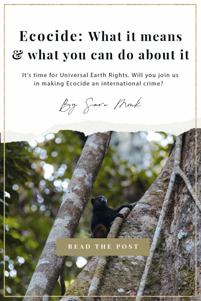 It's time for universal earth rights! And we need your help. Will you join us in making Ecocide an international crime? Learn more inside this post! | Ecocide: What is means and what you can do about it by Sara Monk