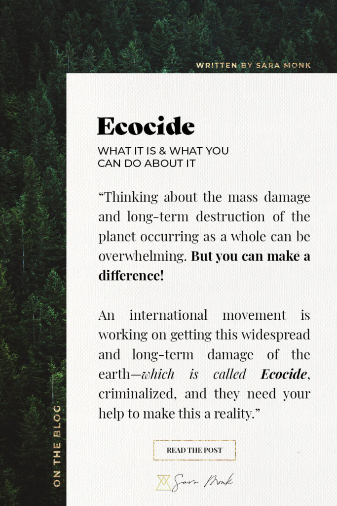 Thinking about the mass damage and long-term destruction of the planet occurring as a whole can be overwhelming. But you can make a difference! An international movement is working on getting Ecocide criminalized, and they need your help! Learn more inside this post. #ecoconscious #consciousliving #motherearth #protecttheenvironment #intentionalliving #universalearthrights #sustainability #ecofriendly #plasticfree #greenliving